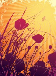 1205 Poppies